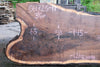 Oregon Black Walnut Slab 061723-11