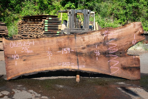 Oregon Black Walnut Slab 062323-01