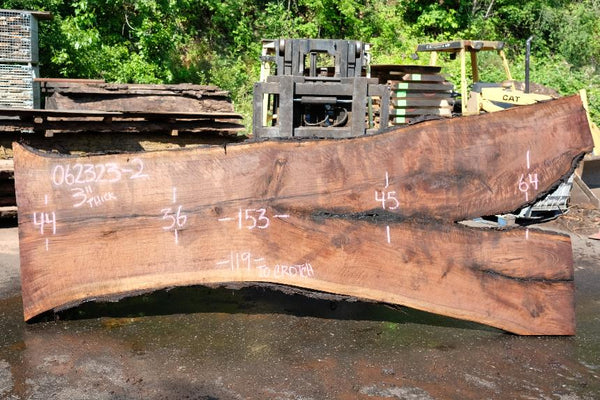 Oregon Black Walnut Slab 062323-02