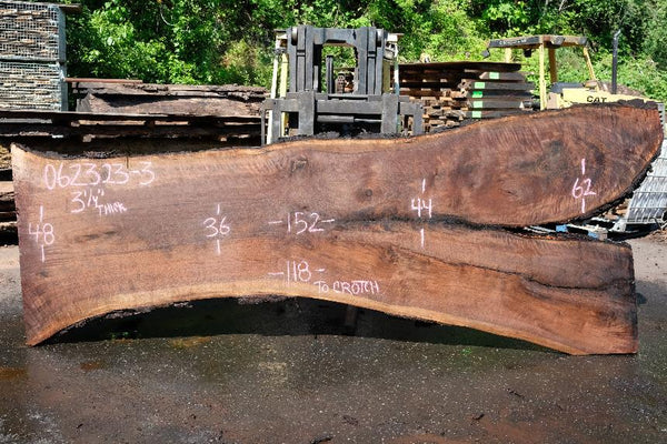 Oregon Black Walnut Slab 062323-03