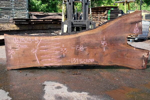 Oregon Black Walnut Slab 062323-05