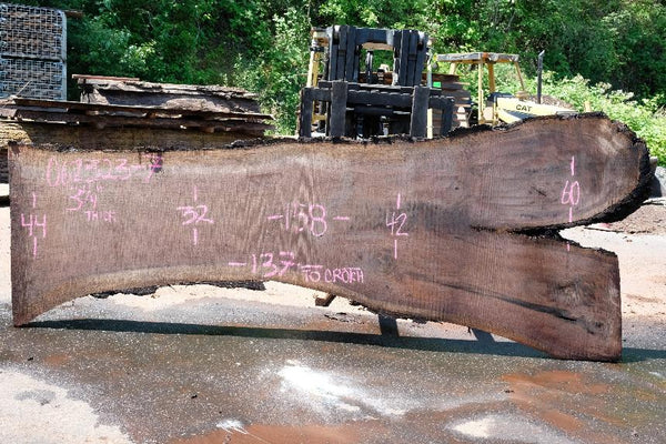 Oregon Black Walnut Slab 062323-07