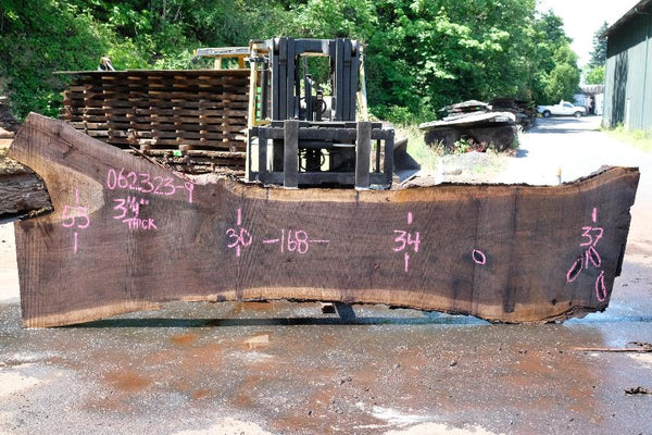 Oregon Black Walnut Slab 062323-09