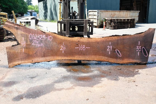 Oregon Black Walnut Slab 062323-10