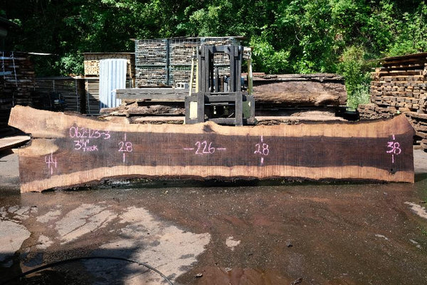 Oregon Black Walnut Slab 062423-03