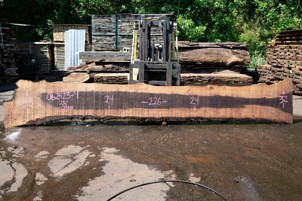 Oregon Black Walnut Slab 062423-04