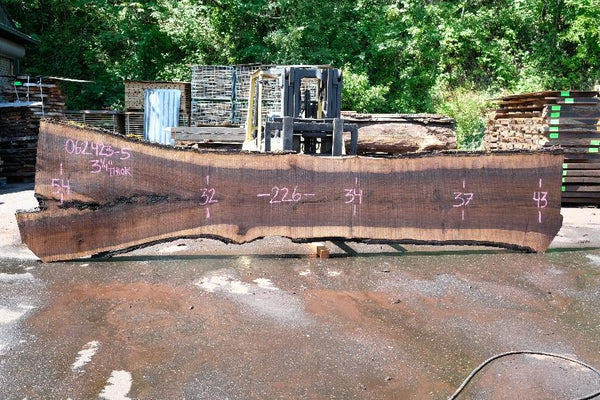 Oregon Black Walnut Slab 062423-05