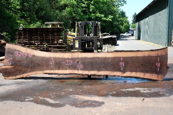 Oregon Black Walnut Slab 062423-08