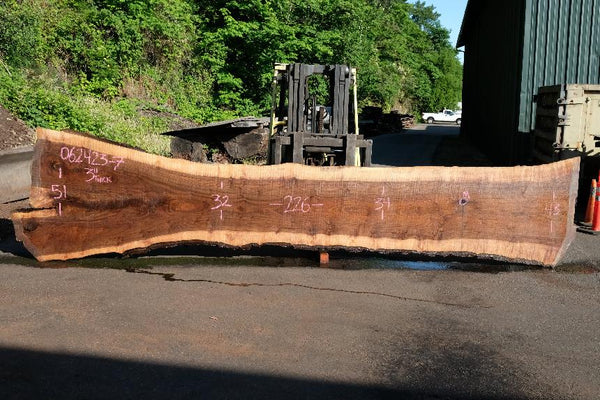 Oregon Black Walnut Slab 062423-07