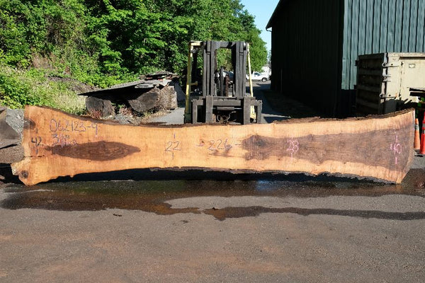 Oregon Black Walnut Slab 062423-09