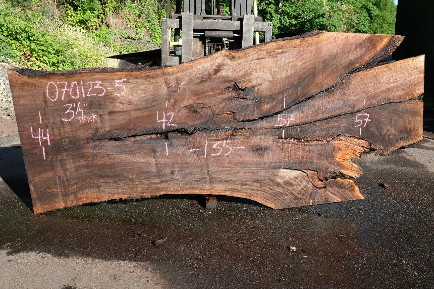 Oregon Black Walnut Slab 070123-05