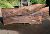 Oregon Black Walnut Slab 070123-05