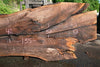 Oregon Black Walnut Slab 070123-05