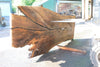 Oregon Black Walnut Slab 070123-05