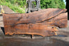 Oregon Black Walnut Slab 070123-06