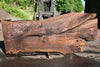 Oregon Black Walnut Slab 070123-06