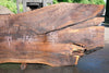 Oregon Black Walnut Slab 070123-07