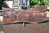 Oregon Black Walnut Slab 070123-09