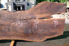 Oregon Black Walnut Slab 070123-09