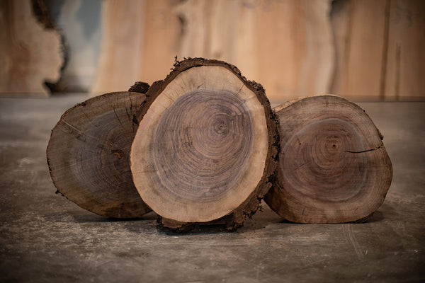 Oregon Black Walnut Round Pack Medium Large (2)