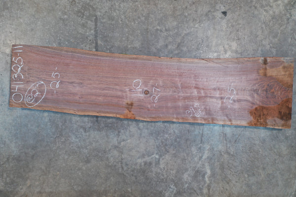 Oregon Black Walnut Slab 041325-11