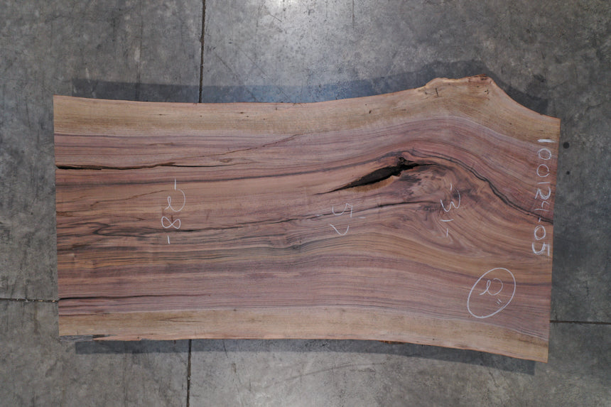 Oregon Black Walnut Slab 100124-05