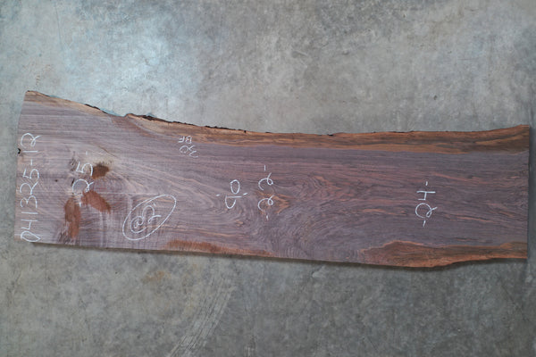 Oregon Black Walnut Slab 041325-12