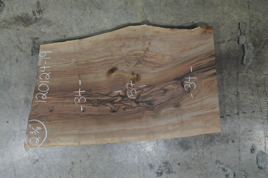 Bastogne Walnut Slab 120124-19