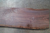 Oregon Black Walnut Slab 041325-13