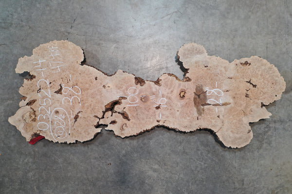 Big Leaf Maple Burl Slab 032522-14