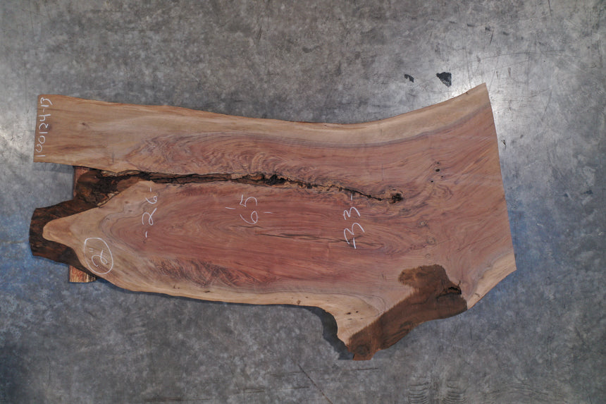 Oregon Black Walnut Slab 100124-13