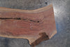 Oregon Black Walnut Slab 100124-13