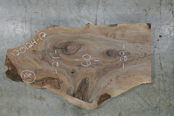 Bastogne Walnut Slab 120124-17