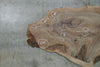 Bastogne Walnut Slab 120124-17