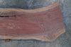 Oregon Black Walnut Slab 100124-15