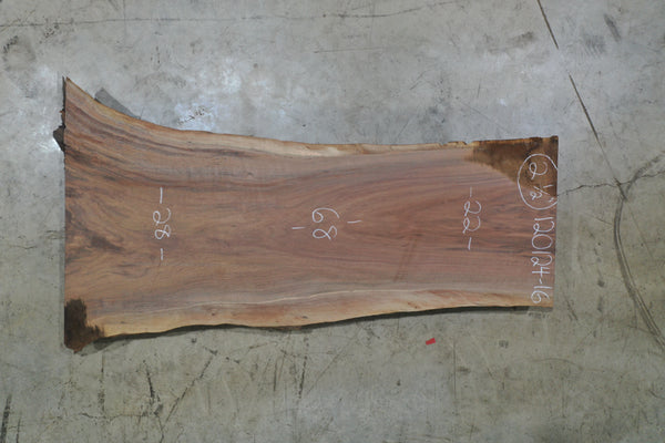 Oregon Black Walnut Slab 120124-16