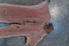 Oregon Black Walnut Slab 100124-16