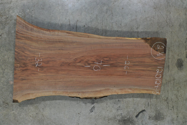 Oregon Black Walnut Slab 120124-15