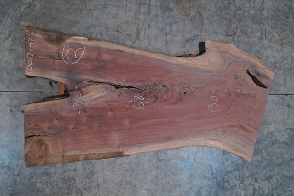 Oregon Black Walnut Slab 100124-17