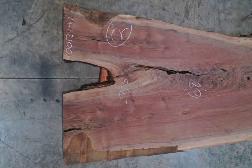 Oregon Black Walnut Slab 10012417 Goby Walnut