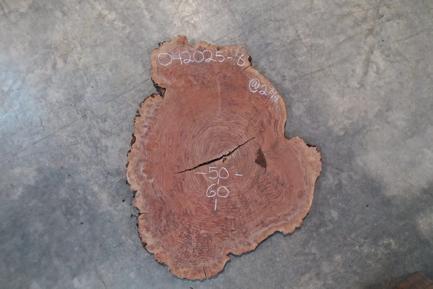 Oregon Black Walnut Burl 042025-08