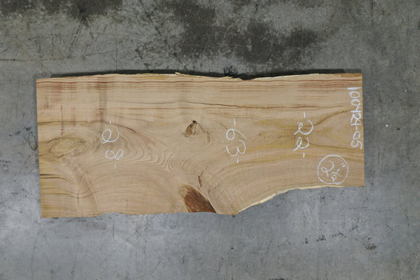 Elm Slab 100424-05