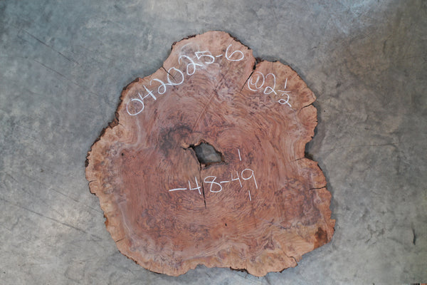Oregon Black Walnut Burl 042025-06