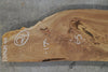 Elm Slab 100424-06