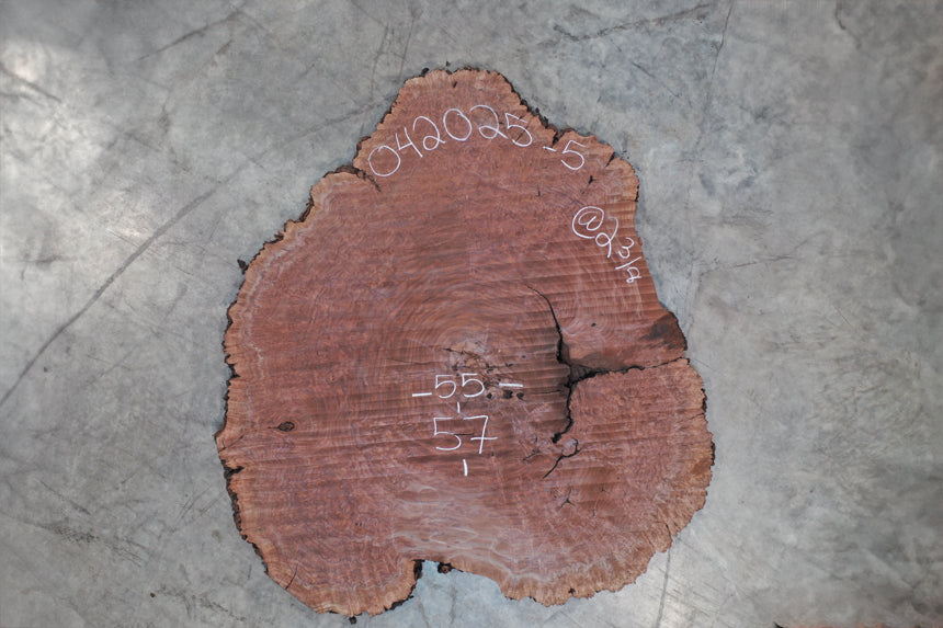Oregon Black Walnut Burl 042025-05