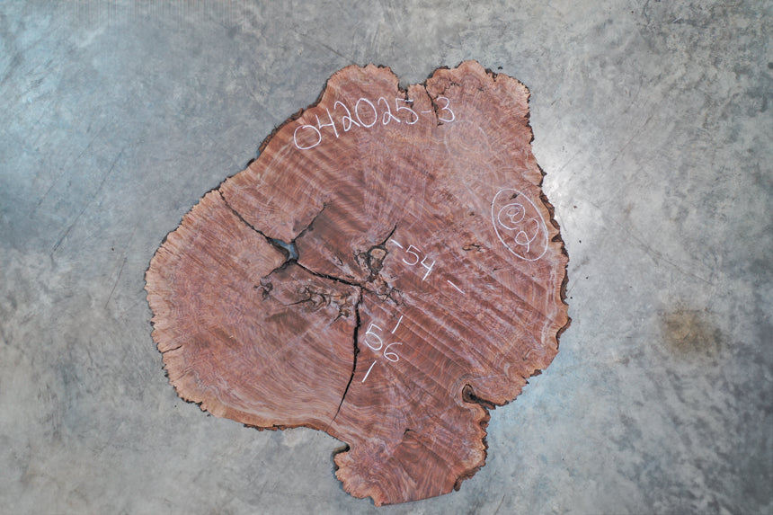 Oregon Black Walnut Burl 042025-03