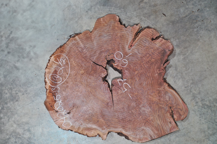 Oregon Black Walnut Burl 042025-13
