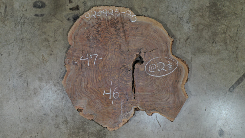 Oregon Black Walnut Round 020925-25