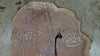 Oregon Black Walnut Round 020925-25