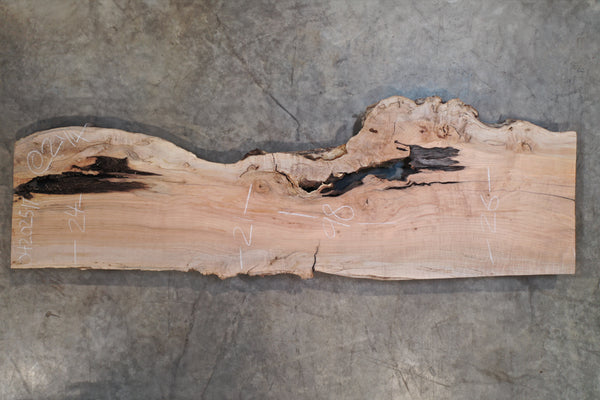 Big Leaf Maple Slab 042025-17